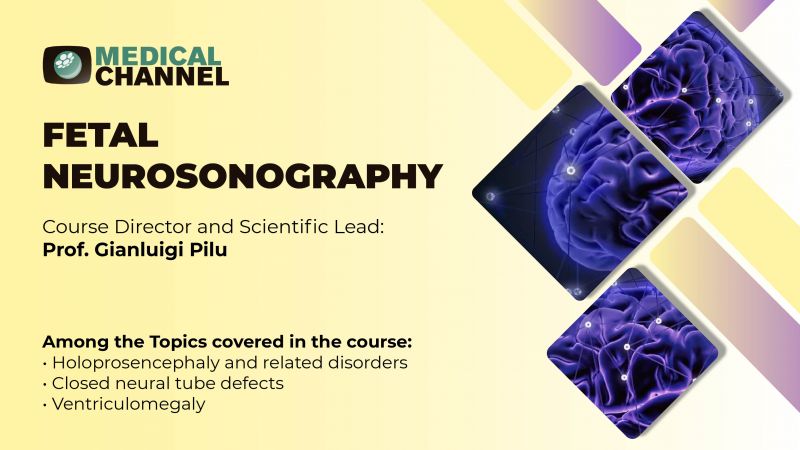 Fetal Neurosonography
