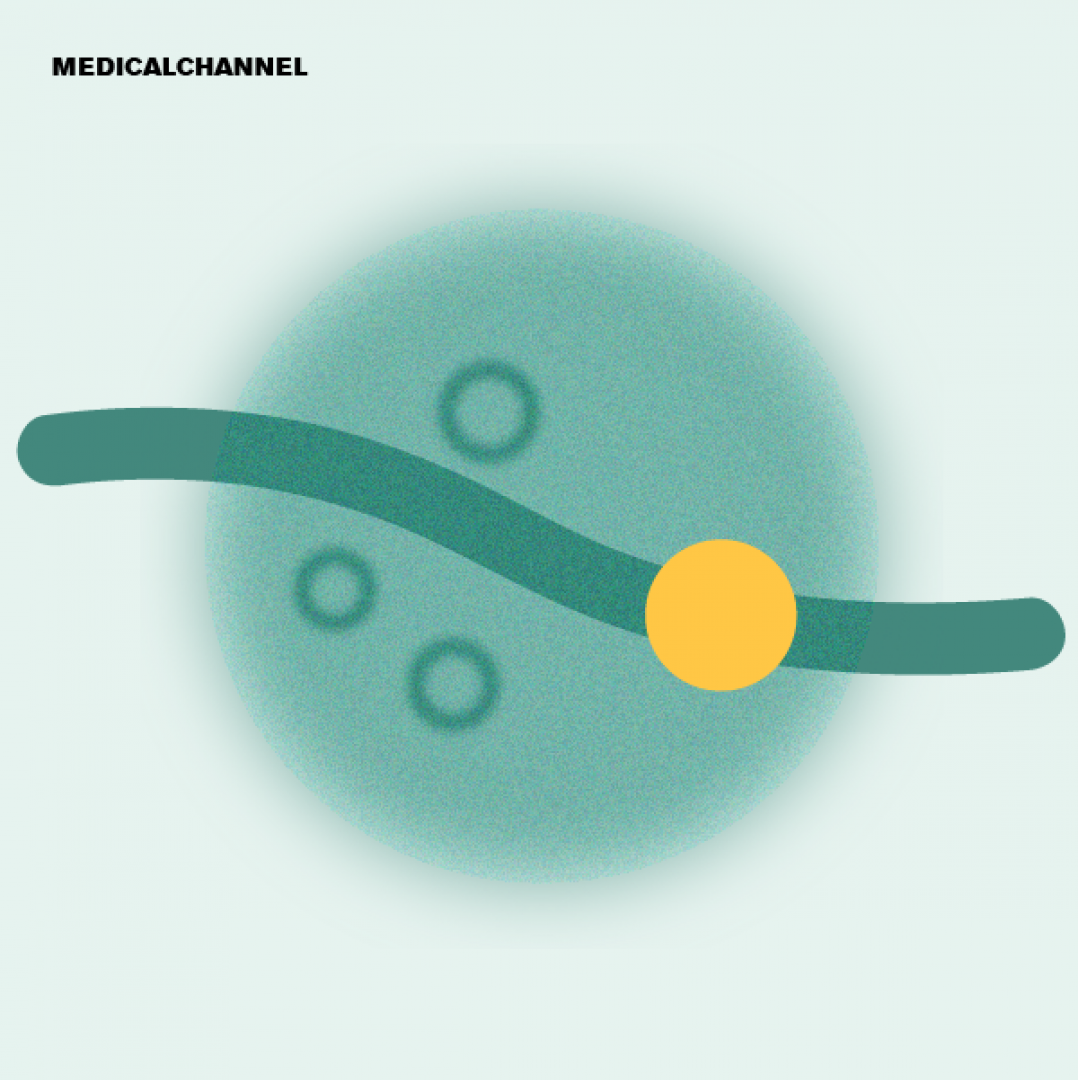 Advances in Dermatology and STI Management